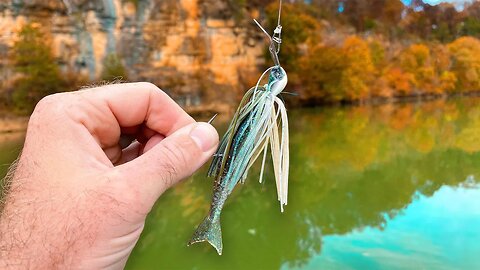 I HOPE you're NOT Missing this FALL Time Bass Fishing Bite!