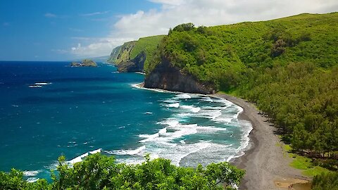 No Virus Will Stop This Couple from Vacationing in Hawaii