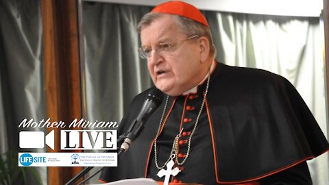 Continue praying for Cardinal Burke and all orthodox shepherds of the Church