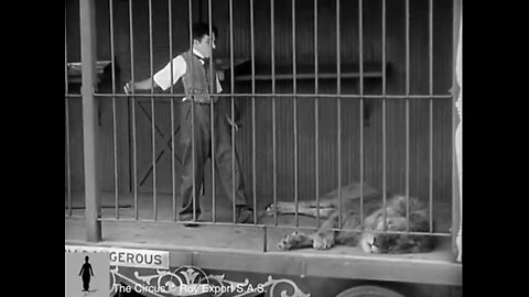 Charlie Chaplin in Lion Cage Funny Video