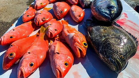 DEEP SEA snappers from a *JET SKI* offshore SLAY part 1 (Catch Clean Cook)