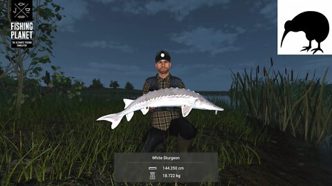 Fishing Planet San Joaquin Delta White Sturgeon