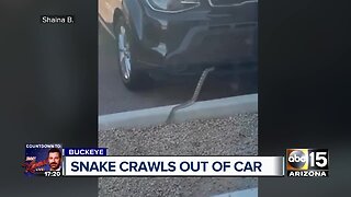 Snake crawls out of Valley woman's car