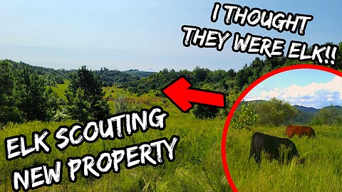 I Thought I Found Elk... | Pre-Season Elk Scouting!!!