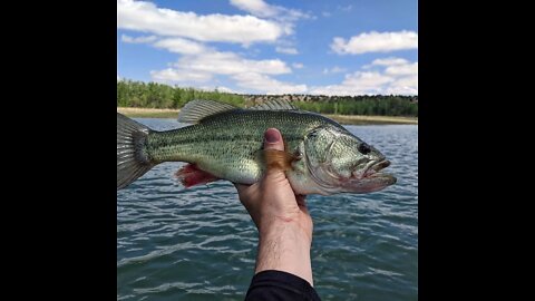 Brush Hollow Reservoir Kayak Fishing (6/2/2022)