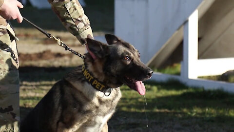 Camp Bondsteel Kennel Rededication