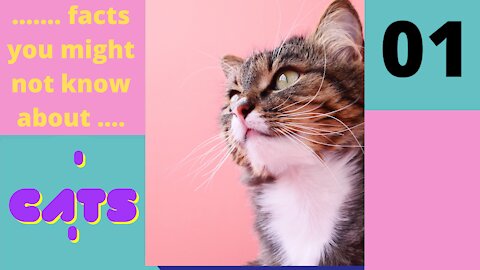 Amazing Facts You Might Not know About Cats - Part 1 of 25