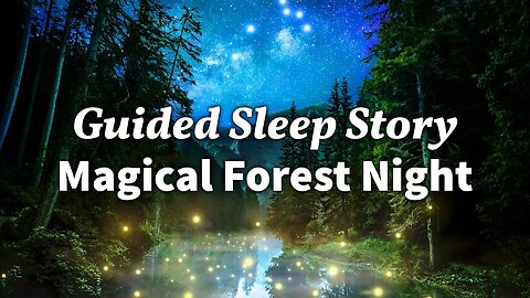 A Rainy Night in the Forest: Cozy Sleep Story with Rain & Nature Sounds