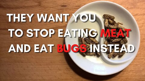 They want you to stop eating meat and eat bugs instead