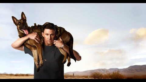 Dog (2022) | Channing Tatum & Lulu Bath Scene