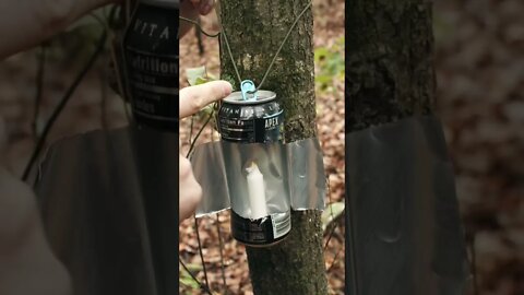 Make a Survival Lantern