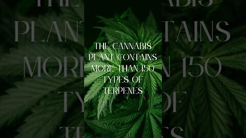 What are Terpenes & Where Do They Come From? 💚✨✨ #shorts #skincare #CBDskincare