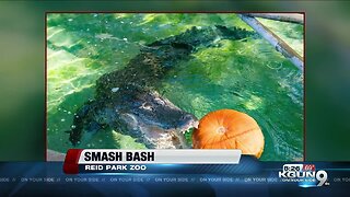 Smash Bash at Reid Park Zoo