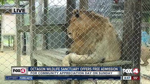 Octagon Wildlife Sanctuary holds community appreciation day on Sunday