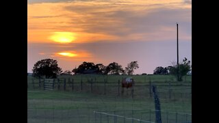 Relaxing in Texas with this 360 Video