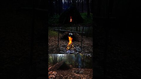 Bushcraft Survival Shelters I've built. Primitive Debris hut, Wikiup camp sites in the wild. #shorts