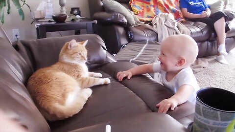 Baby And Cat Fun And Cute