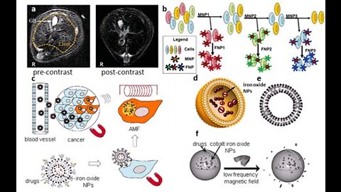 Nanoparticles in Our Food!