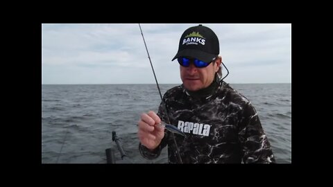 Optimizing Crankbait Presentation for more Walleye