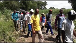 SOUTH AFRICA - KwaZulu-Natal - Crocodile terrorises villagers (Videos) (6Mj)