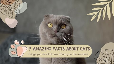 7 facts about cats that will blow your mind