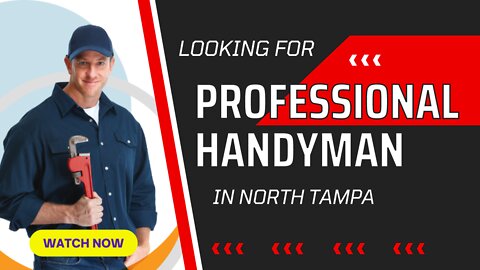 Looking for Professional Handyman in North Tampa