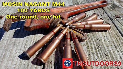 MOSIN NAGANT M44 - 100 YARDS One round One hit