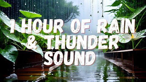 1 hour of Rain Sounds For Sleeping | Instantly Fall Asleep With Rain And Thunder Sound #studymusic