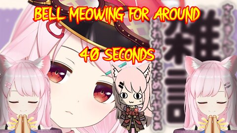 A 40 second clip of vtuber Bell Nekonogi Meowing