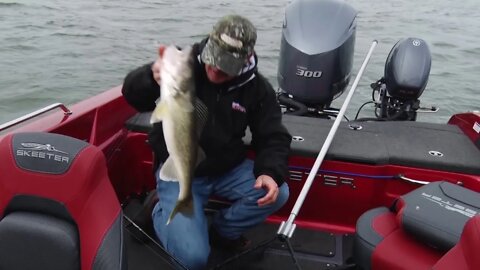 Fall walleye on Leech Lake