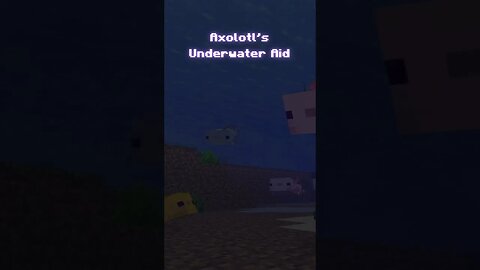 Minecraft Facts - "Chapter 26 - Axolotl's Underwater Aid"