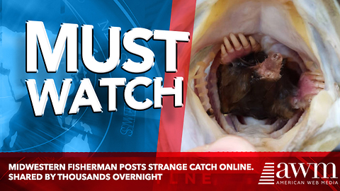 Midwestern Fisherman Posts Strange Catch Online. Shared By Thousands Overnight