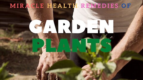 7 Garden Plants That Double Up As Miracle Health Remedies