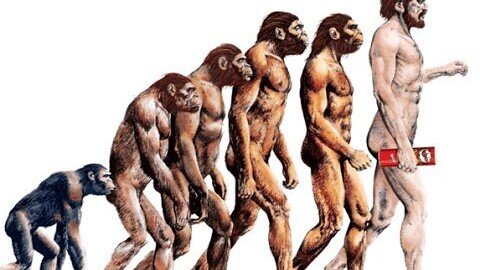 Why I No Longer Believe in Evolution - My Story - Evolution VS Creationism