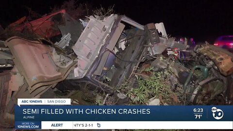 Truck carrying frozen chickens crashes in Alpine