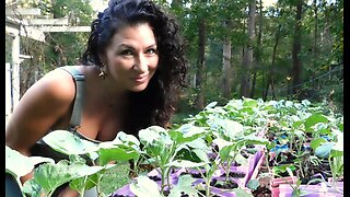 How to Keep Cabbageworms Out of Your Fall Garden This Year/Organic Gardening