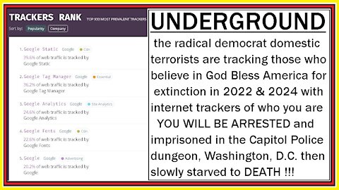 UNDERGROUND - radical democrat domestic terrorists