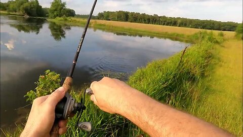 "Mastering Bass Fishing: Expert Tips for Success in Small Ponds"