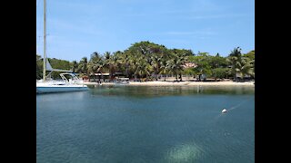 Scuba Diving 05/08/2019 Roatan, Honduras