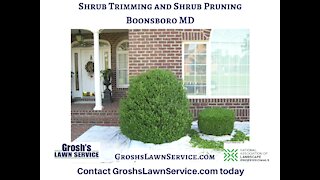 Shrub Trimming Boonsboro MD landscaping Contractor