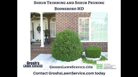 Shrub Trimming Boonsboro MD landscaping Contractor