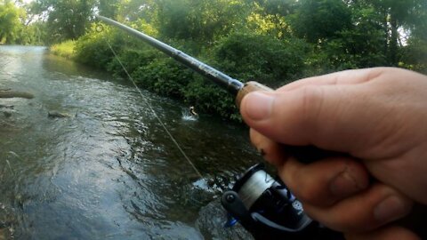 Missed Some Trout Caught Some Trout