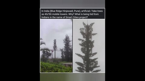 Gwen Towers or 5g Towers in trees Towers ko wo pedh bana kar kyu chupa rahe