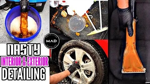 Super Cleaning A Disaster Repo SUV | Nastiest Seats & Carpet | Insane Car Detailing TRANSFORMATION!