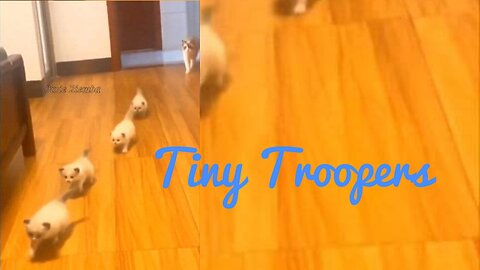 Tiny Troopers