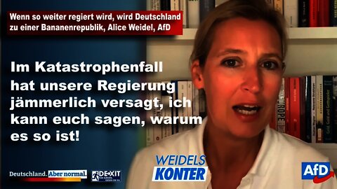 Wenn so weiter regiert wird, wird Deutschland zu einer Bananenrepublik, Alice Weidel AfD