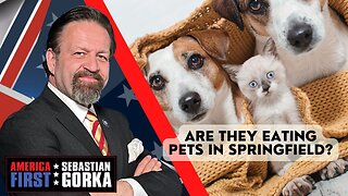 Are they eating pets in Springfield? Jack Windsor with Sebastian Gorka on AMERICA First