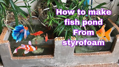 How To Build A Beautiful Aquarium At Home Easily