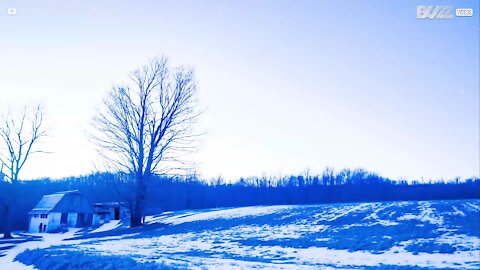 Meraviglioso time-lapse del cielo stellato della Pennsylvania