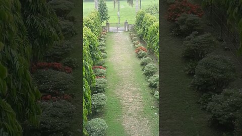 beautiful flower garden in the amazong College